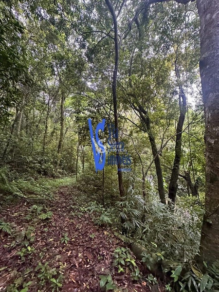 Sítio à venda, Solitária, em Igrejinha/RS!: 3ª foto da galeria de imagens do imóvel