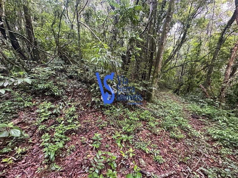 Sítio à venda, Solitária, em Igrejinha/RS!: 16ª foto da galeria de imagens do imóvel