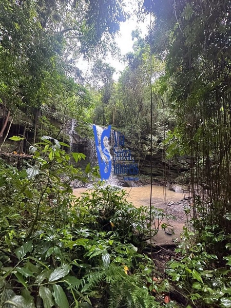 Sítio à venda, Solitária, em Igrejinha/RS!: 9ª foto da galeria de imagens do imóvel
