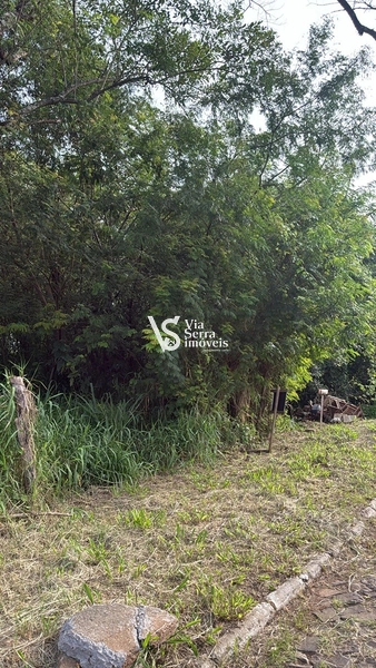 Terreno à venda, no bairro Moinho, em Igrejinha//RS!: 2ª foto da galeria de imagens do imóvel