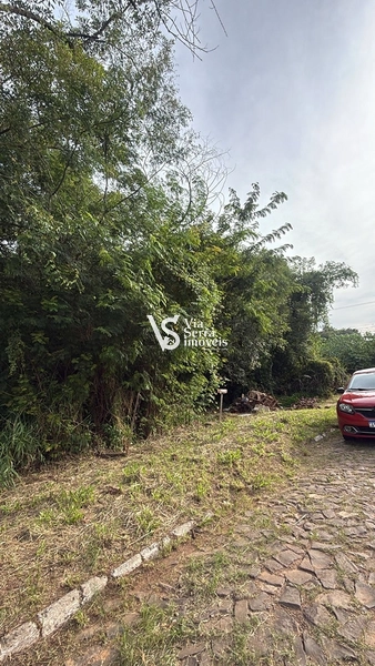 Terreno à venda, no bairro Moinho, em Igrejinha//RS!: 4ª foto da galeria de imagens do imóvel