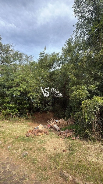 Terreno à venda, no bairro Moinho, em Igrejinha//RS!: 6ª foto da galeria de imagens do imóvel