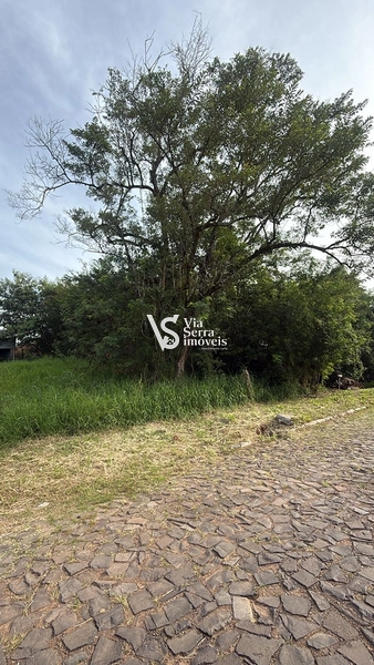Terreno à venda, no bairro Moinho, em Igrejinha//RS!: 3ª foto da galeria de imagens do imóvel