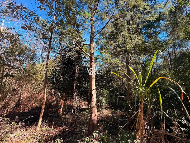 Área à venda em Gramado – Linha Tapera: 3ª foto da galeria de imagens do imóvel