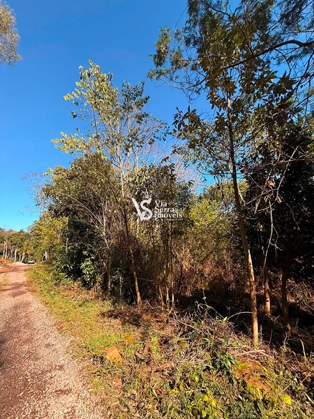 Área à venda em Gramado – Linha Tapera: 4ª foto da galeria de imagens do imóvel
