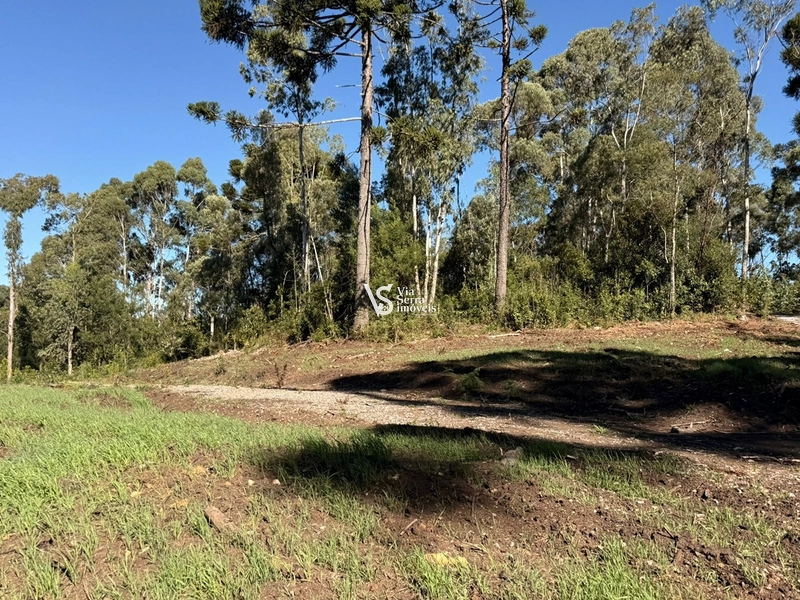 Terreno : 17ª foto da galeria de imagens do imóvel