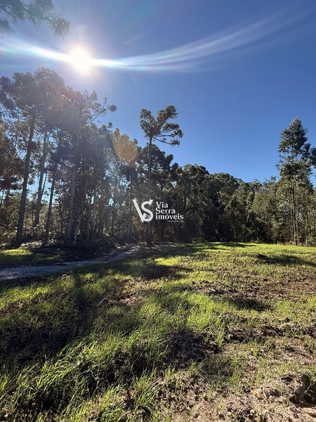 Terreno : 19ª foto da galeria de imagens do imóvel