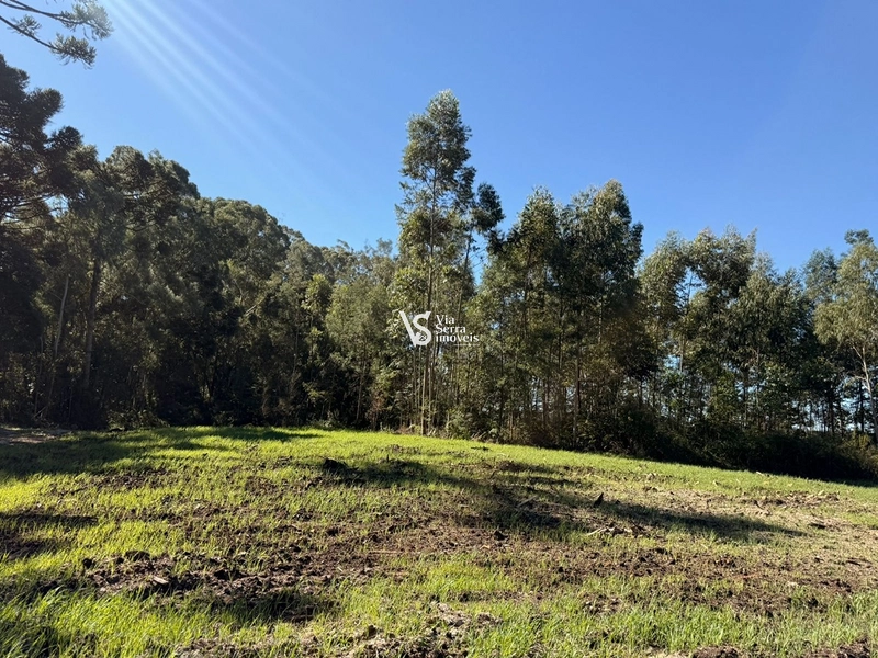Terreno : 11ª foto da galeria de imagens do imóvel