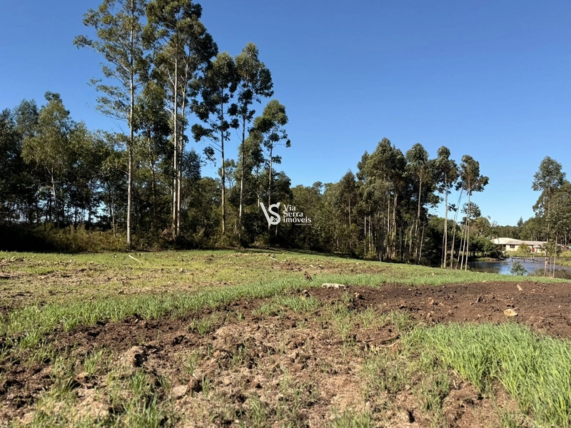 Terreno : 1ª foto da galeria de imagens do imóvel