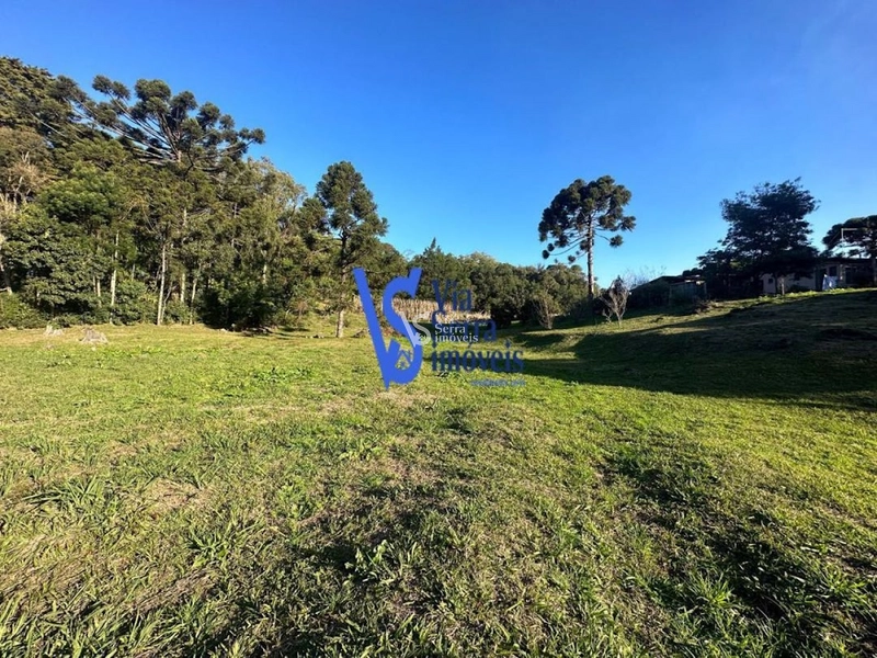 Terreno à venda, em Igrejinha/RS!: 5ª foto da galeria de imagens do imóvel