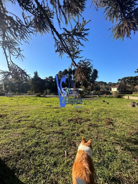 Terreno à venda, em Igrejinha/RS!: 4ª foto da galeria de imagens do imóvel