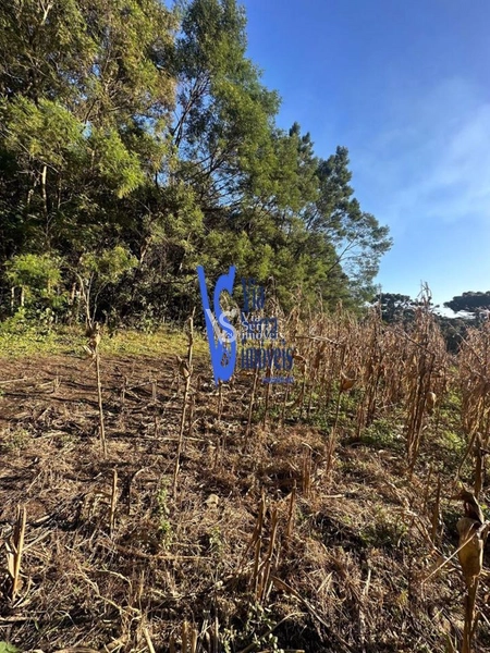 Terreno à venda, em Igrejinha/RS!: 2ª foto da galeria de imagens do imóvel