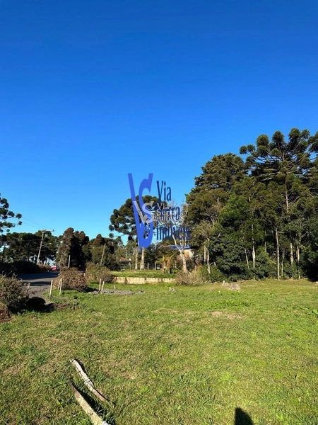 Terreno à venda, em Igrejinha/RS!: 6ª foto da galeria de imagens do imóvel