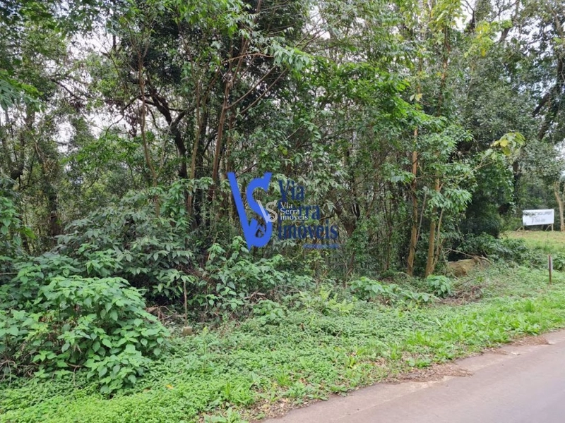 Sítio em Serra Grande, Igrejinha/RS!: 2ª foto da galeria de imagens do imóvel