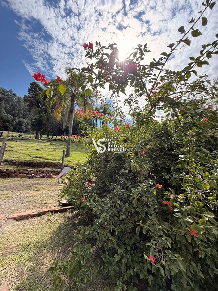 Sitio a 12 km do Centro de Gramado RS!: 24ª foto da galeria de imagens do imóvel