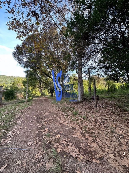 Sítio à venda, na Linha Café Alta, em Três Coroas/RS!: 22ª foto da galeria de imagens do imóvel
