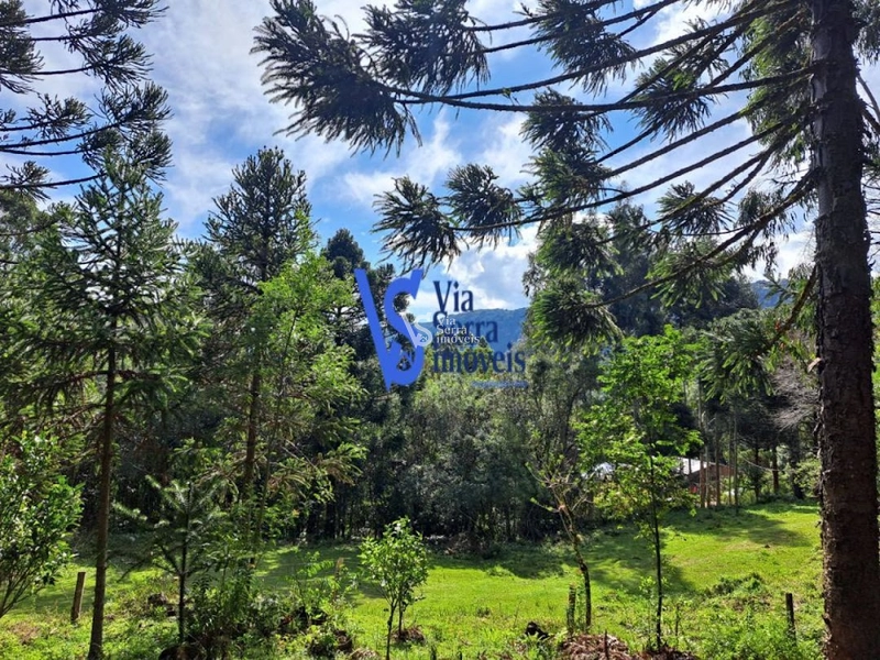 Sítio à venda, em São Francisco de Paula/RS!: 2ª foto da galeria de imagens do imóvel