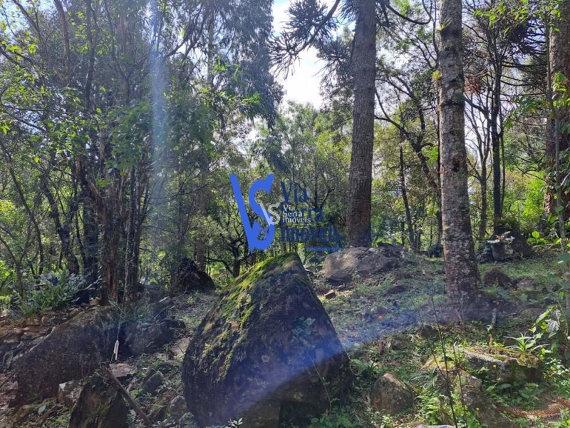 Sítio à venda, em São Francisco de Paula/RS!: 11ª foto da galeria de imagens do imóvel