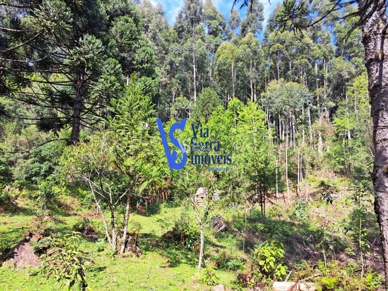 Sítio à venda, em São Francisco de Paula/RS!: 24ª foto da galeria de imagens do imóvel