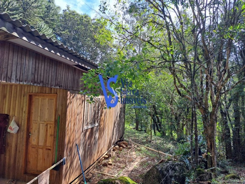 Sítio à venda, em São Francisco de Paula/RS!: 4ª foto da galeria de imagens do imóvel