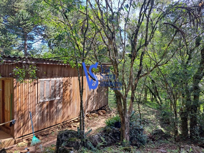 Sítio à venda, em São Francisco de Paula/RS!: 17ª foto da galeria de imagens do imóvel