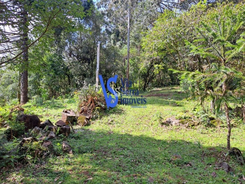 Sítio à venda, em São Francisco de Paula/RS!: 14ª foto da galeria de imagens do imóvel