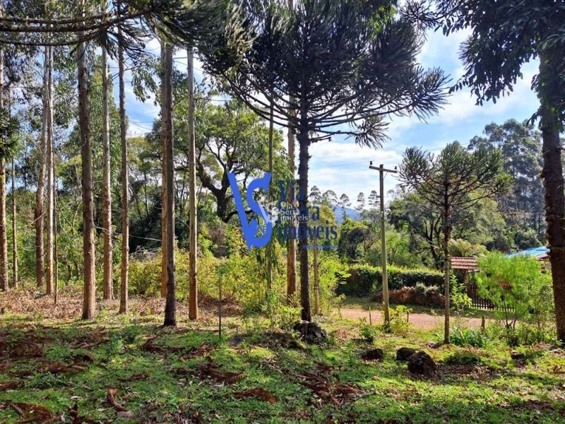 Sítio à venda, em São Francisco de Paula/RS!: 16ª foto da galeria de imagens do imóvel