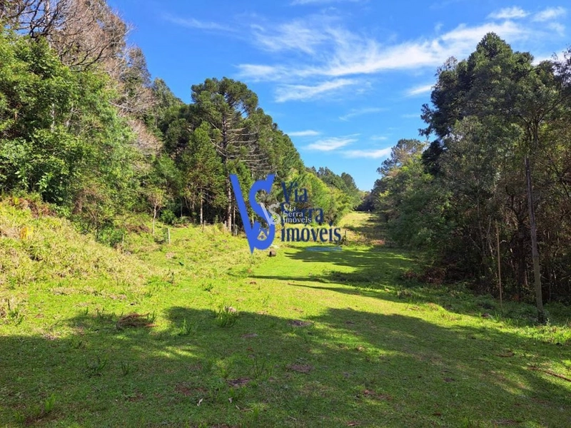 Sítio à venda, em São Francisco de Paula/RS!: 1ª foto da galeria de imagens do imóvel