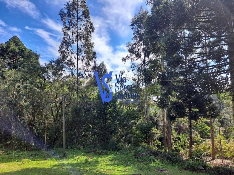 Sítio à venda, em São Francisco de Paula/RS!: 7ª foto da galeria de imagens do imóvel