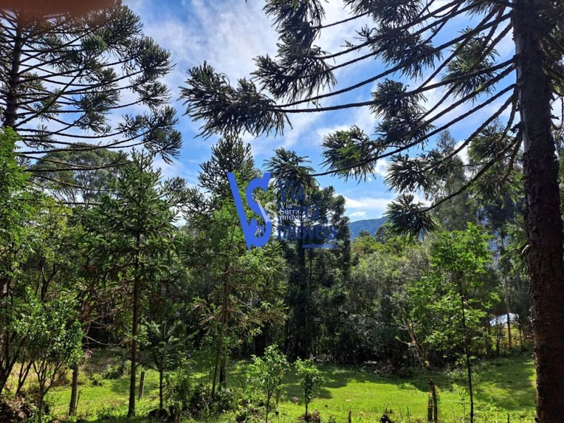 Sítio à venda, em São Francisco de Paula/RS!: 13ª foto da galeria de imagens do imóvel