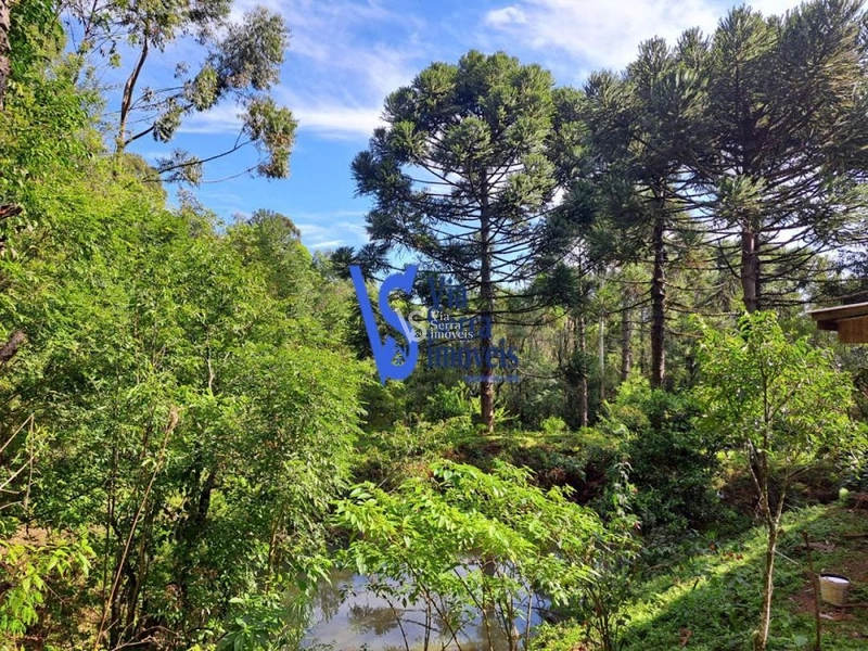 Sítio à venda, em São Francisco de Paula/RS!: 8ª foto da galeria de imagens do imóvel