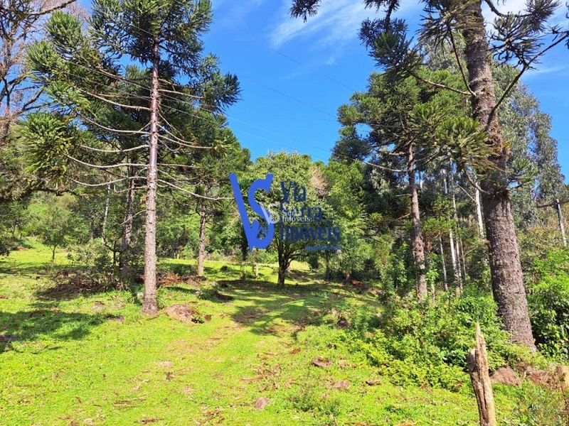 Sítio à venda, em São Francisco de Paula/RS!: 22ª foto da galeria de imagens do imóvel