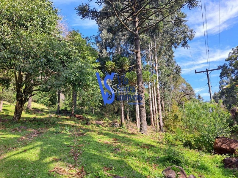 Sítio à venda, em São Francisco de Paula/RS!: 21ª foto da galeria de imagens do imóvel