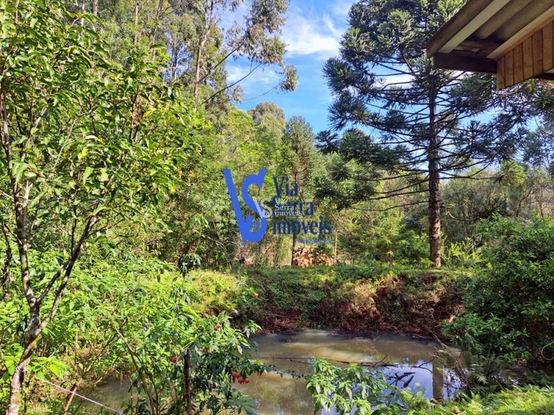 Sítio à venda, em São Francisco de Paula/RS!: 20ª foto da galeria de imagens do imóvel