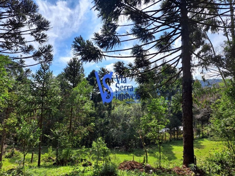 Sítio à venda, em São Francisco de Paula/RS!: 19ª foto da galeria de imagens do imóvel