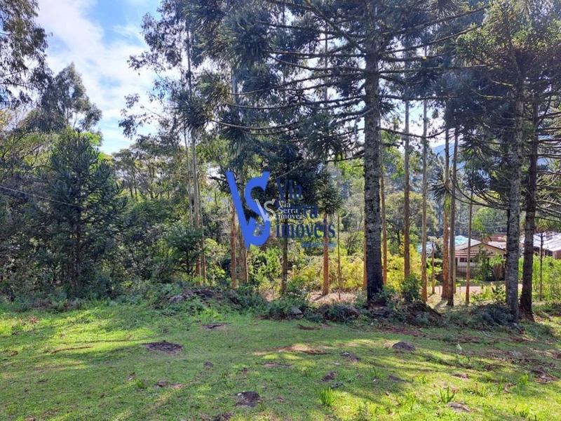 Sítio à venda, em São Francisco de Paula/RS!: 23ª foto da galeria de imagens do imóvel