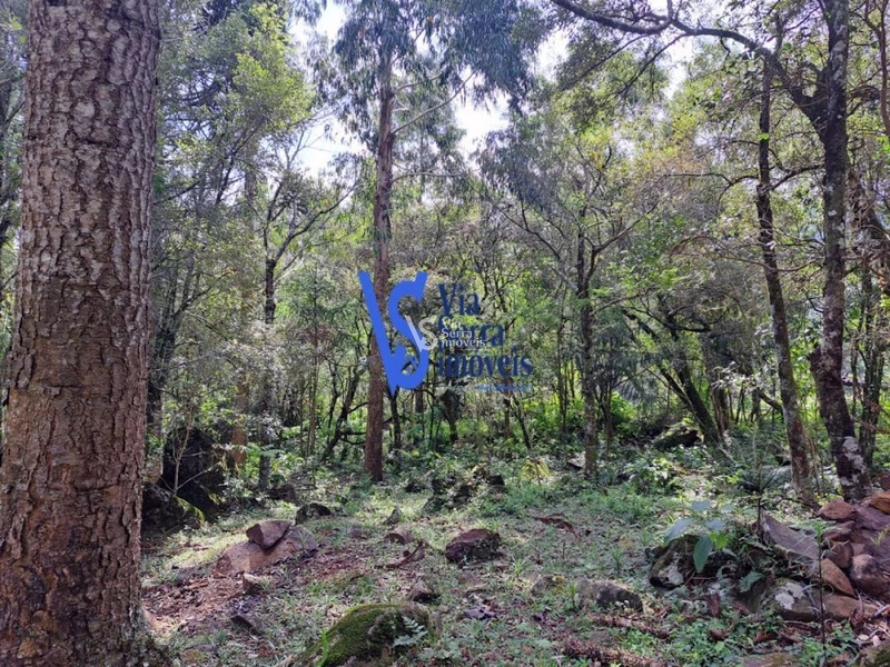 Sítio à venda, em São Francisco de Paula/RS!: 18ª foto da galeria de imagens do imóvel