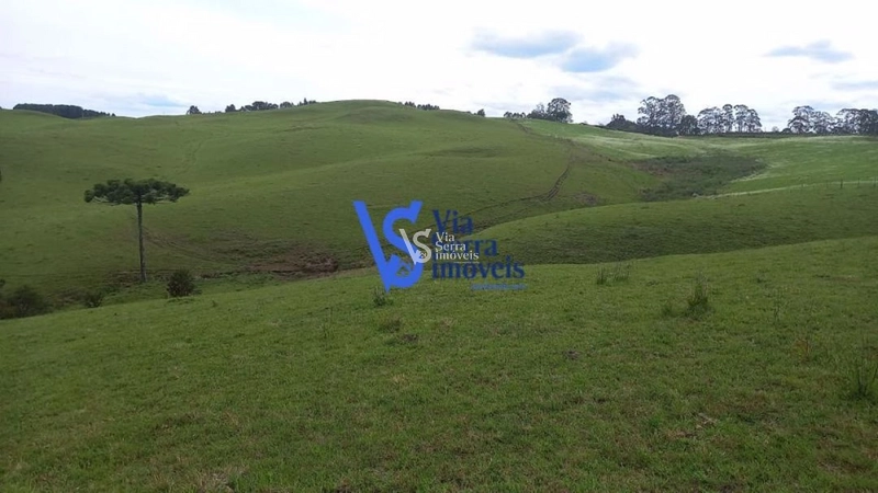 Sítio à venda, em São Francisco de Paula/RS!: 9ª foto da galeria de imagens do imóvel