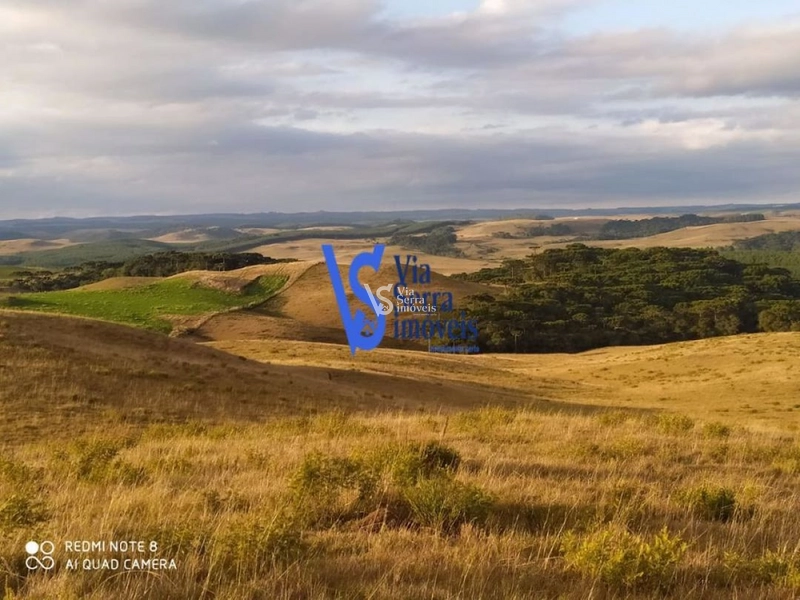 Sítio à venda, em São Francisco de Paula/RS!: 20ª foto da galeria de imagens do imóvel