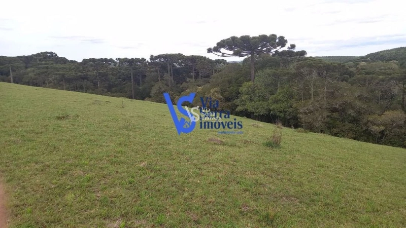 Sítio à venda, em São Francisco de Paula/RS!: 22ª foto da galeria de imagens do imóvel