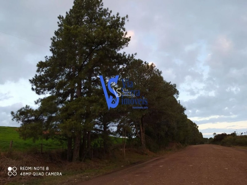 Sítio à venda, em São Francisco de Paula/RS!: 16ª foto da galeria de imagens do imóvel