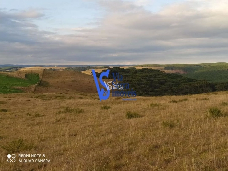 Sítio à venda, em São Francisco de Paula/RS!: 4ª foto da galeria de imagens do imóvel