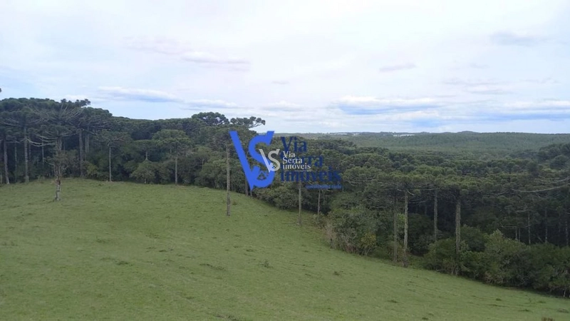 Sítio à venda, em São Francisco de Paula/RS!: 21ª foto da galeria de imagens do imóvel