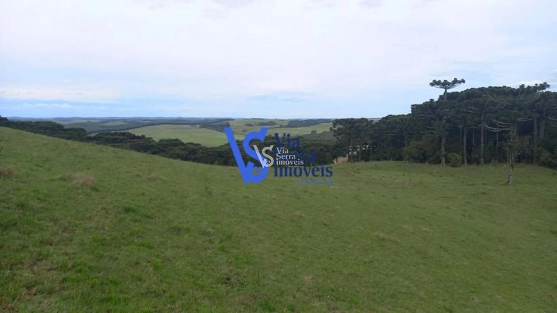 Sítio à venda, em São Francisco de Paula/RS!: 13ª foto da galeria de imagens do imóvel