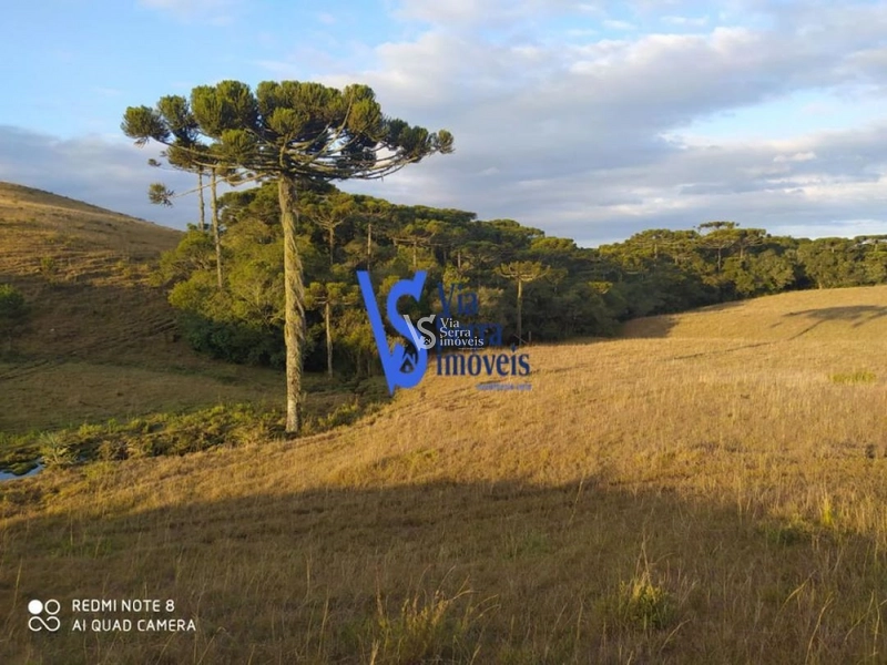 Sítio à venda, em São Francisco de Paula/RS!: 19ª foto da galeria de imagens do imóvel