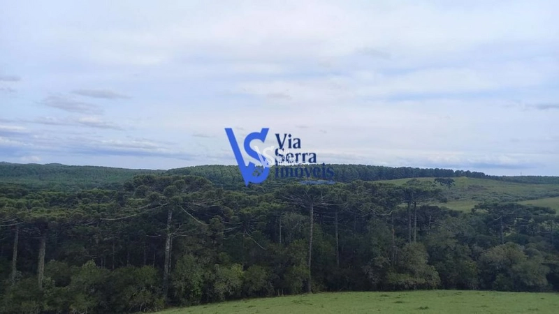 Sítio à venda, em São Francisco de Paula/RS!: 12ª foto da galeria de imagens do imóvel