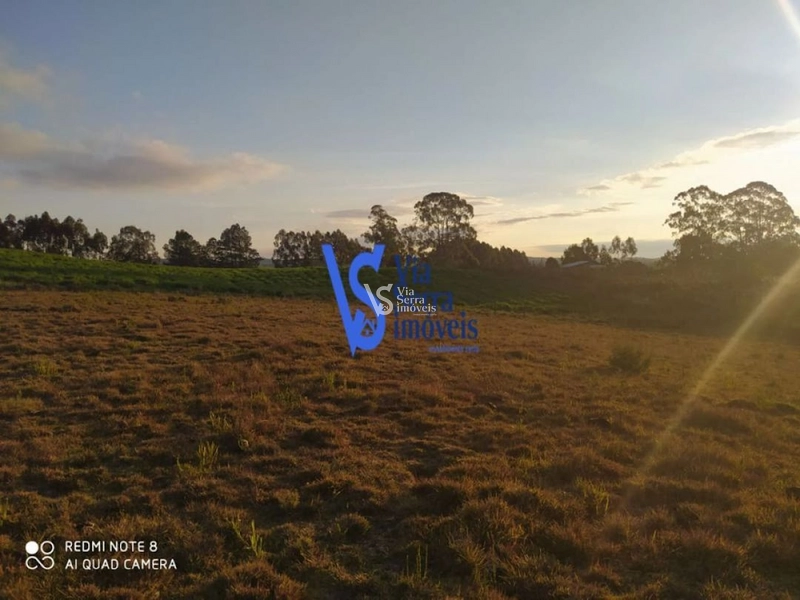 Sítio à venda, em São Francisco de Paula/RS!: 11ª foto da galeria de imagens do imóvel
