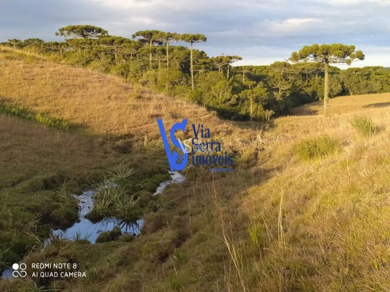 Sítio à venda, em São Francisco de Paula/RS!: 2ª foto da galeria de imagens do imóvel