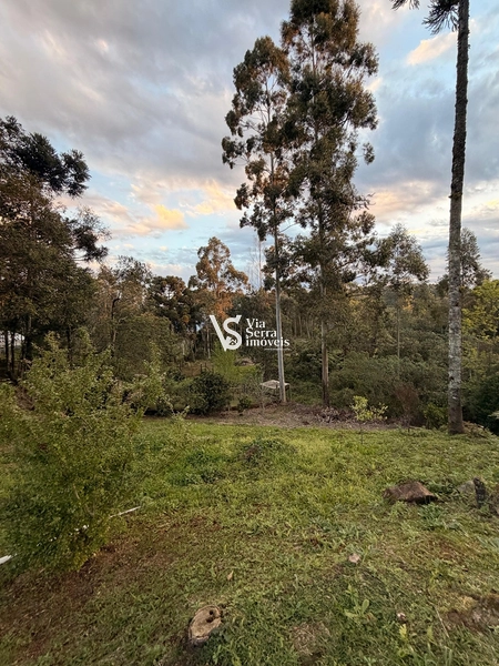 Terreno à Venda: 8ª foto da galeria de imagens do imóvel