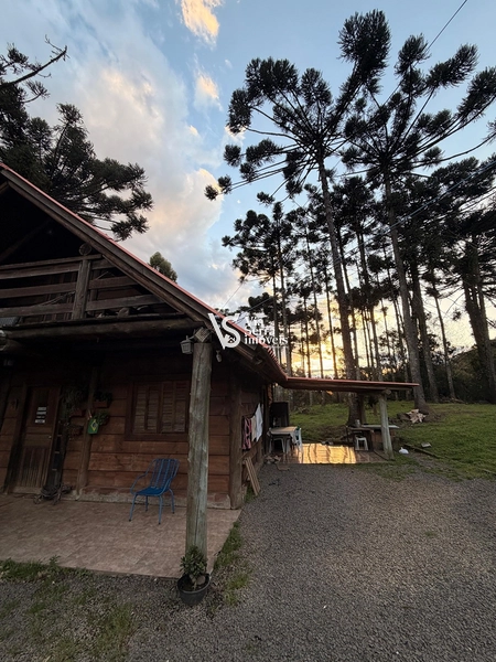 Terreno à Venda: 6ª foto da galeria de imagens do imóvel